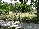 GCfal0_20120613140908.jpg