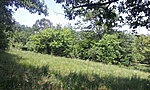 GCEszp_2012063131331.jpg
