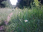 Visszafelé a rejtő útvonalán