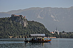 tutaj