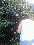 GCFisl_20120727182505.jpg