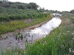A patak partján
