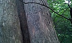 GCHeKa_20120728193558.jpg