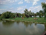GCSzfv_20120729150022.jpg