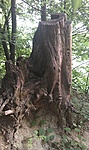 GCTOZE_2012077195121.jpg