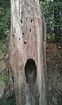 GCTOZE_2012078193555.jpg