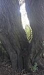 GCHMPI_2012078182716.jpg