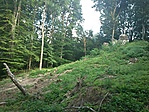 GCGERV_20120629184417.jpg