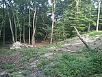 GCGERV_20120629184425.jpg