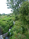 patak