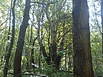 GCXVII_20120819115419.jpg