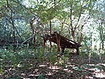 GCXVII_20120819115510.jpg
