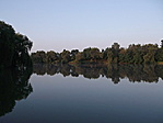 tó