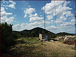 Antenna erdő