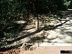 GCSICA_20120831151036.jpg