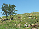 Kőtenger