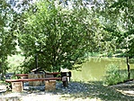 kép1