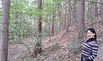GCSTVD_20120811180456.jpg