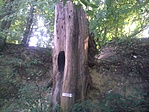 A jelszavas tablica