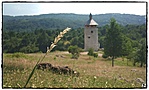Találat