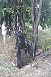 GCDpal_20120821182224.jpg