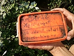 GCapsz_2012085160747.jpg