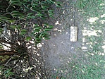 GCFisl_20120816105250.jpg