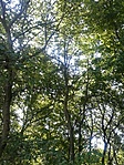 GCCSPK_20120821095140.jpg