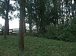 ...a "hely", ahol a dolgok történnek...kissé távolról...ha látni akarod, gyere, és nézd meg!