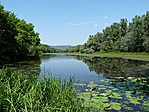 Holtág