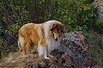 Vándor
