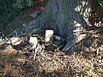 kép3