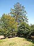 kép4
