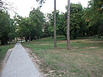 Parkrészlet