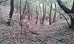 GCBAJM_2012091094844.jpg