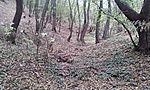 GCBAJM_2012091094848.jpg