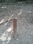 GCSICA_2012093112340.jpg