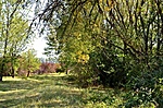 rejtekösvény