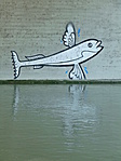 repülőhal