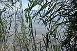 GC4718_2012098131931.jpg