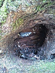 GCOCSA_2012092162430.jpg