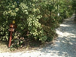 GCVVKK_20120923131820.jpg