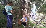 GCXVII_20120930153235.jpg