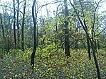 GCpihi_20121029111103.jpg