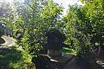 Öszhatás
