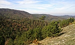 GCNkov_20121017112350.jpg