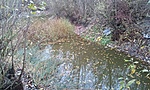 GCTO_20121029155719.jpg