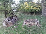GCKALI_20121022174524.jpg
