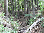 Kis szurdok