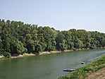 A Tisza partján a Kőrös felé.